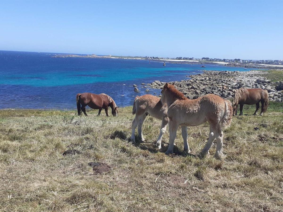 Les Portsallaises Piscine Ou Spa A 300M De La Plage Ploudalmezeau Bagian luar foto